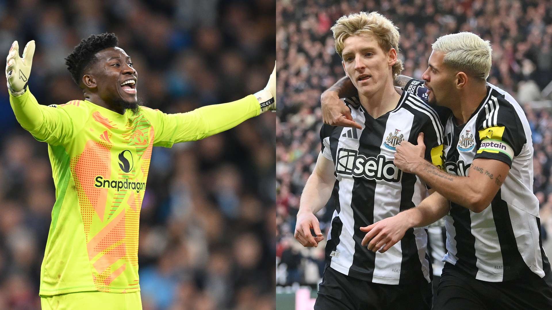 马的未来注 马的未来注